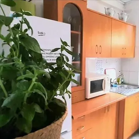 Pod Sloneczkiem 1